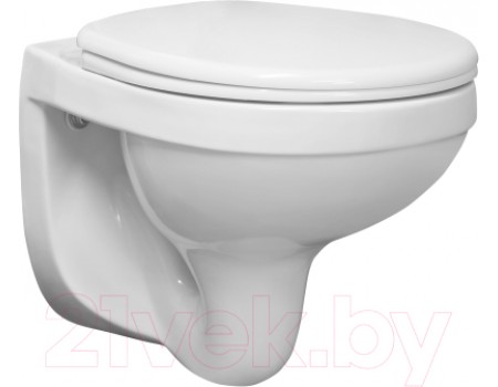 Унитаз подвесной Santeri Альфа 132564S0000B0 (с сиденьем)