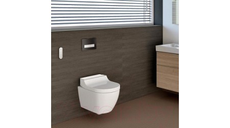 Унитаз подвесной Geberit 146.294.SI.1
