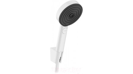 Душевой гарнитур Hansgrohe 24302700