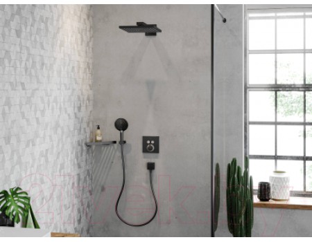 Верхний душ Hansgrohe 26238140