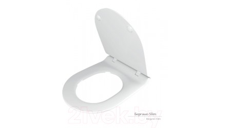 Унитаз подвесной с инсталляцией Керамин Трино + 38772001 (с жестким сиденьем Slim и микролифтом)