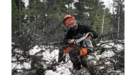 Бензопила цепная Husqvarna 450e II 15
