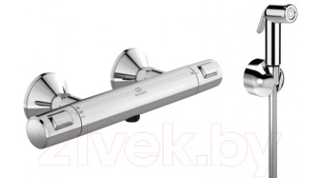 Гигиенический душ Ideal Standard A7201AA + B0595AA