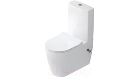 Унитаз напольный Idevit Alfa Rimless SETK3104-0317-001-1-6200 (с сиденьем)