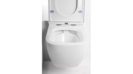 Унитаз подвесной BelBagno Alpina BB10100CHR/BB309SC