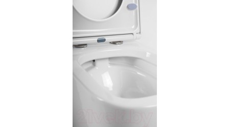Унитаз подвесной BelBagno Alpina BB10100CHR/BB309SC