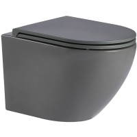 Унитаз подвесной с инсталляцией WeltWasser Amberg 497 ST+ Merzbach 004 MT-GR+ Amberg RD-BL