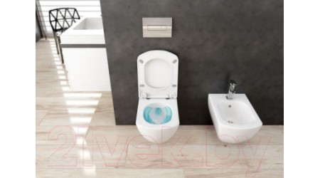 Смеситель Deante Anemon BCZ 031M 