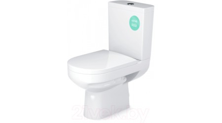 Унитаз напольный Gesso Aquatic Home De Luxe