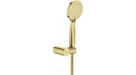 Душевой гарнитур Deante Arnika Gold BR NQA_R41K