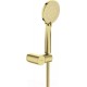 Душевой гарнитур Deante Arnika Gold BR NQA_R41K