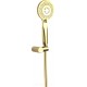 Душевой гарнитур Deante Arnika Gold NQA Z41K