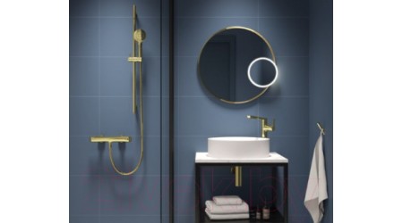 Душевой гарнитур Deante Arnika Gold NQA Z51K
