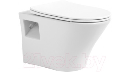 Унитаз подвесной Aquanika Basic AQB101-00 (с сиденьем)