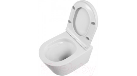 Унитаз подвесной BelBagno BB053CH-TOR-FC