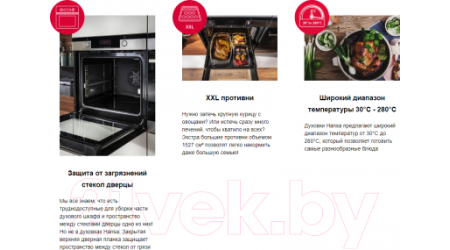Электрический духовой шкаф Hansa BOEIS694097