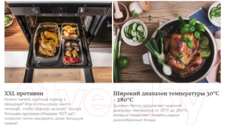 Электрический духовой шкаф Hansa BOEW684097