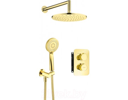 Душевая система Deante Box Gold BXYZGEBT