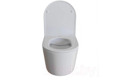 Унитаз подвесной White Wave Comfort (белый глянец)