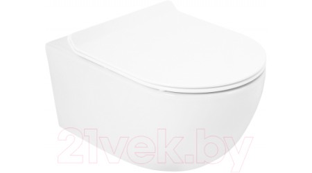 Унитаз подвесной Cezares CZR-2468-TH-R