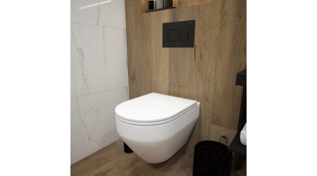 Унитаз подвесной Teymi Demi / T40208 (с сиденьем)