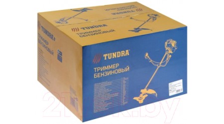 Триммер бензиновый Tundra Easy-start 5513386