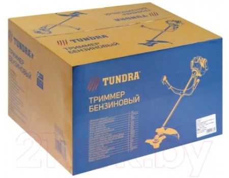 Триммер бензиновый Tundra Easy-start 5513386