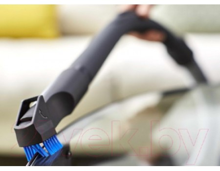 Пылесос Philips FC8295/01