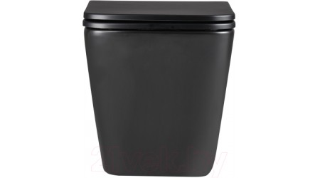 Унитаз подвесной LEMARK Florex 9612002 (с сиденьем)