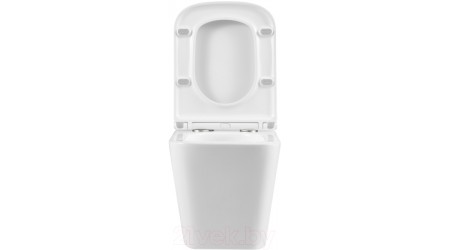 Унитаз подвесной LEMARK Florex 9614001 (с сиденьем)