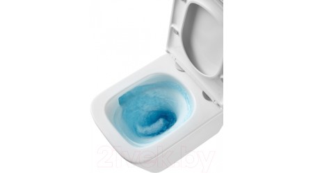 Унитаз подвесной LEMARK Florex 9614001 (с сиденьем)