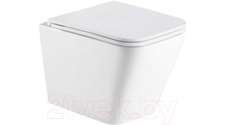Унитаз подвесной WeltWasser Gelbach 043 GL-WT
