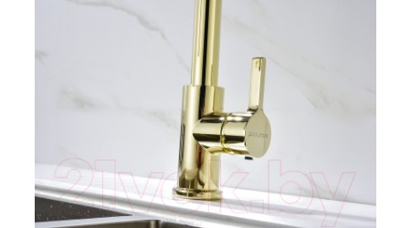 Смеситель Paulmark Halt Ha214021-G (золото) 