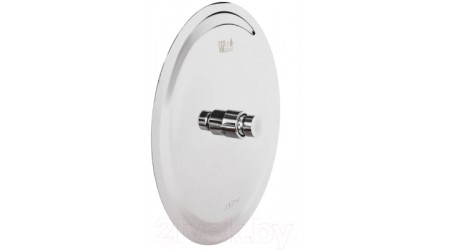 Верхний душ WeltWasser HS 25R