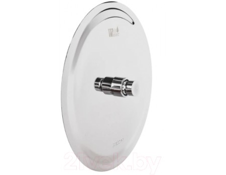 Верхний душ WeltWasser HS 25R