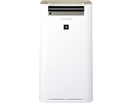 Очиститель воздуха Sharp KCG61RW