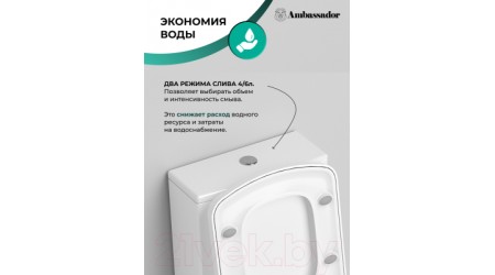 Унитаз напольный Ambassador Kingston / 147K19002RS (с сиденьем)