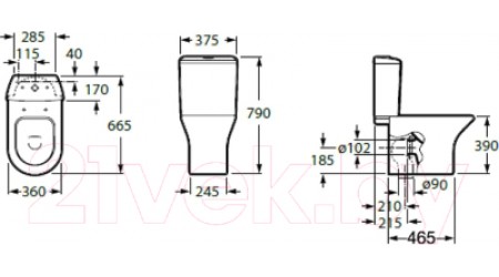 Унитаз напольный Roca Leon 7342649000 + 7341649000