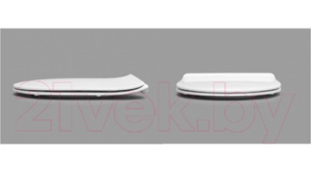 Унитаз напольный Roca Leon 7342649000 + 7341649000 + ZRU9302943