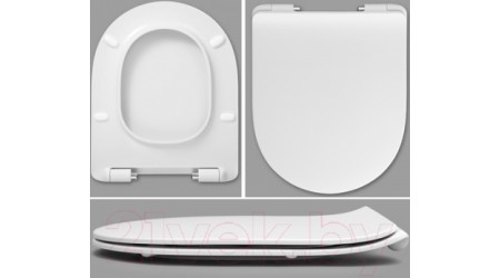 Унитаз напольный Roca Leon 7342649000 + 7341649000 + ZRU9302943