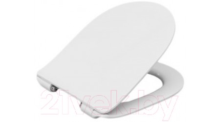 Унитаз напольный Roca Leon 7342649000 + 7341649000 + ZRU9302943