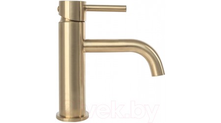 Смеситель REA Lungo B4527 (матовое золото) 