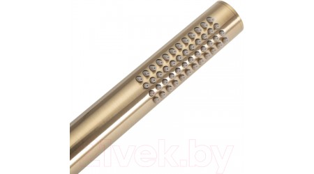 Душевая система REA Lungo Matt Gold P4160