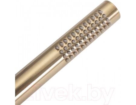 Душевая система REA Lungo Matt Gold P4160
