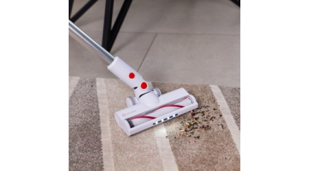 Вертикальный пылесос Evolution LX900