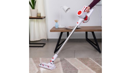 Вертикальный пылесос Evolution LX900