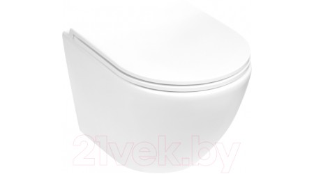 Унитаз подвесной WeltWasser Merzbach 043 MT-WT