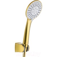 Душевой гарнитур Armatura Moza 841-220-31