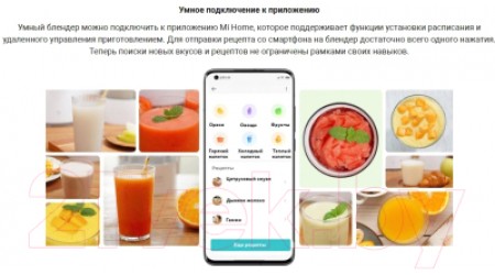Блендер стационарный Xiaomi MPBJ001ACM-1A / BHR5960EU