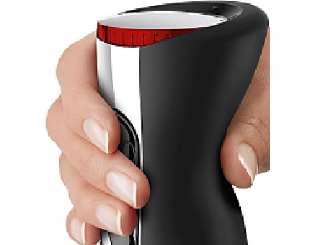 Блендер погружной Bosch MS6CM6155